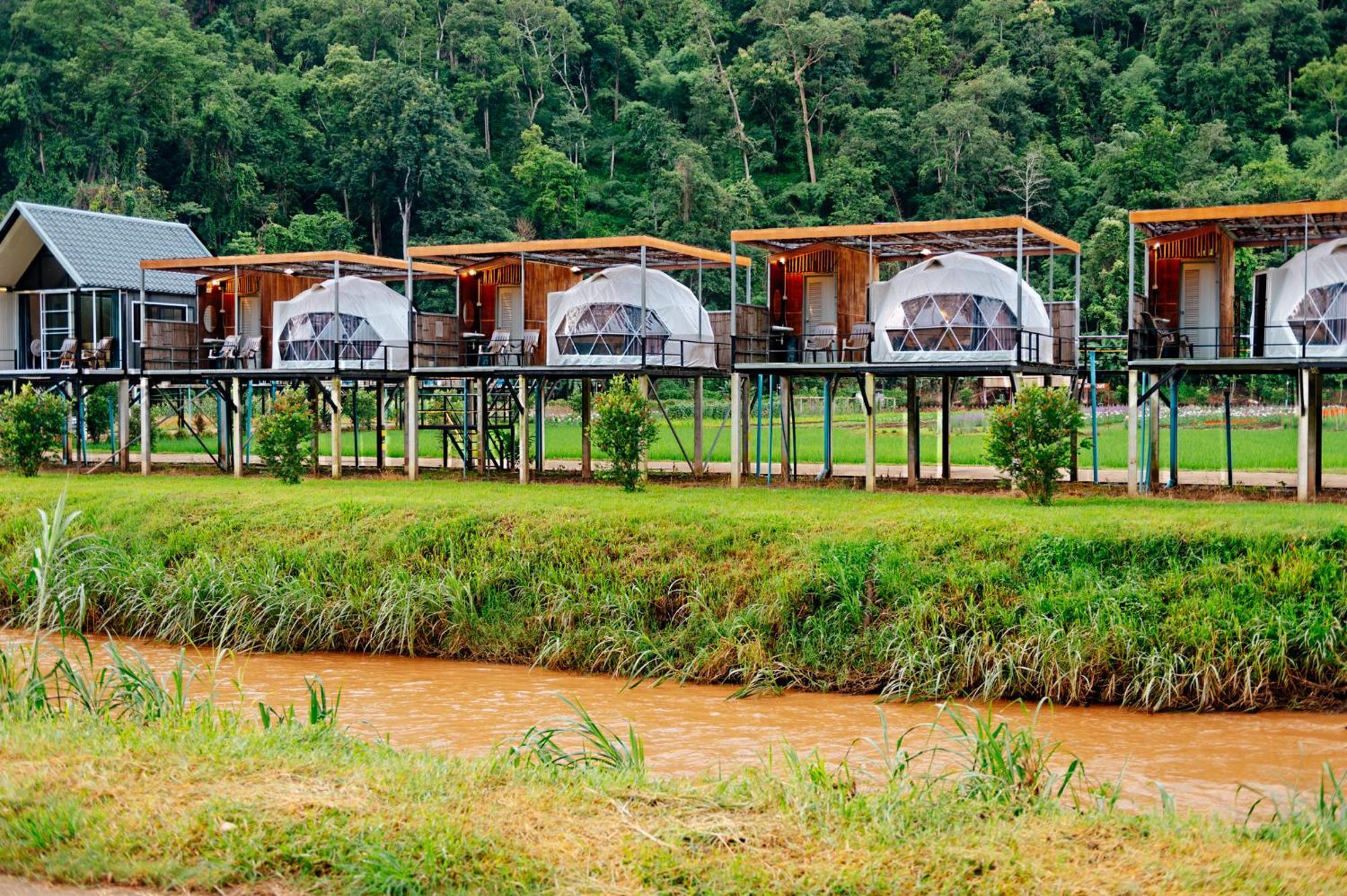 เนเจอร์วัลเล่ย์แคมป์ ปางมะผ้า Hotel Eksteriør billede